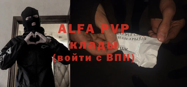 стафф Иннополис