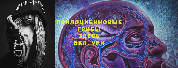 МДМА Каменка